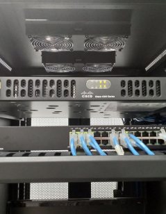 Switch dengan kabel jaringan biru yang tertata rapi.